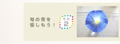 旬の青を愉しもう! その2