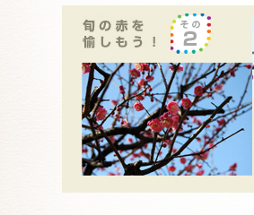 旬の赤を愉しもう! その2