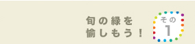 旬の緑を愉しもう!その1