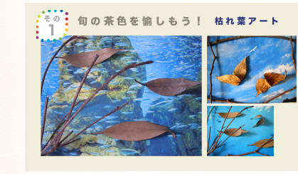 その1 旬の緑を愉しもう! 枯れ葉アート